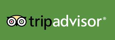 trip advisor reviews local seo